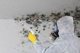 Best Air Quality Testing for Mold Spores in Middletown, NY